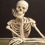 Osteoporosis May Have a New Natural Treatment