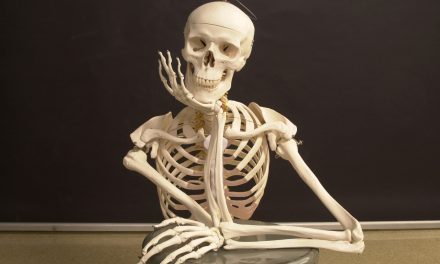 Osteoporosis May Have a New Natural Treatment