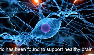 Curcumin and Brain Health
