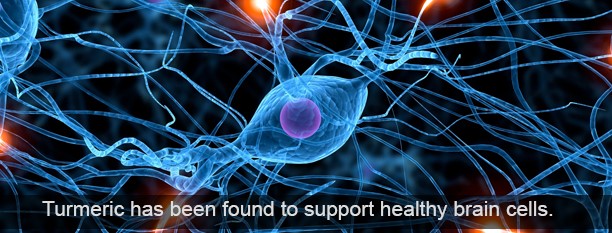 Curcumin and Brain Health