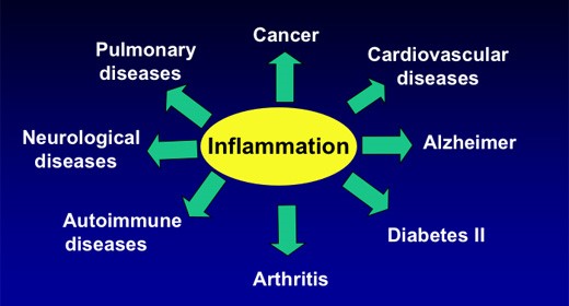 Study: Anti-inflammatory Action of Curcumin