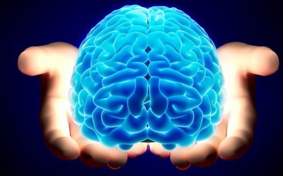 Turmeric might contribute in brain regeneration