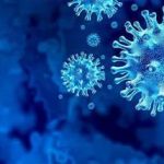 The Role of Curcumin and Zinc in Antiviral Immunity