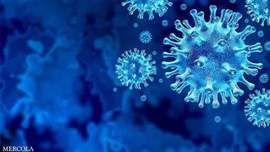 The Role of Curcumin and Zinc in Antiviral Immunity